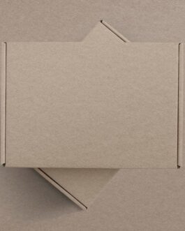 kraft paper brown box product packaging with design space flat lay